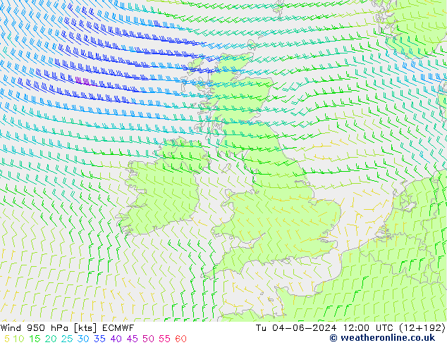  950 hPa ECMWF  04.06.2024 12 UTC