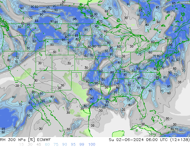 RH 300 hPa ECMWF dom 02.06.2024 06 UTC