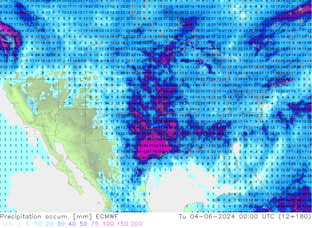 Precipitation accum. ECMWF Tu 04.06.2024 00 UTC