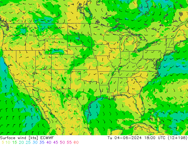  10 m ECMWF  04.06.2024 18 UTC