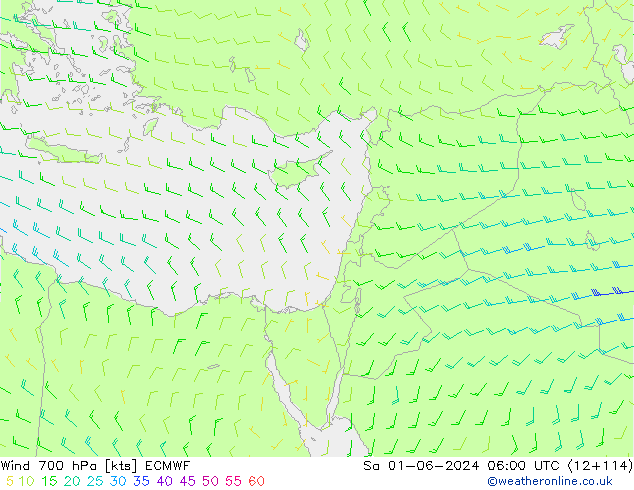 wiatr 700 hPa ECMWF so. 01.06.2024 06 UTC