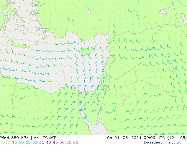 Wind 850 hPa ECMWF za 01.06.2024 00 UTC