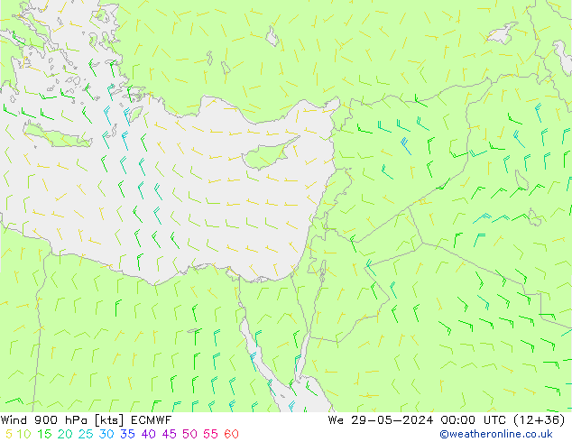 Wind 900 hPa ECMWF wo 29.05.2024 00 UTC