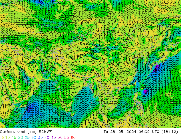 Surface wind ECMWF Tu 28.05.2024 06 UTC