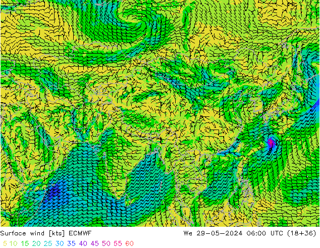 Rüzgar 10 m ECMWF Çar 29.05.2024 06 UTC