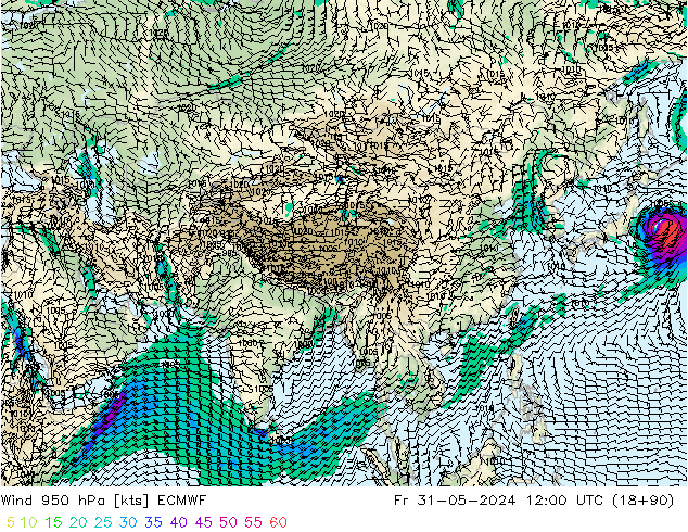 Wind 950 hPa ECMWF vr 31.05.2024 12 UTC