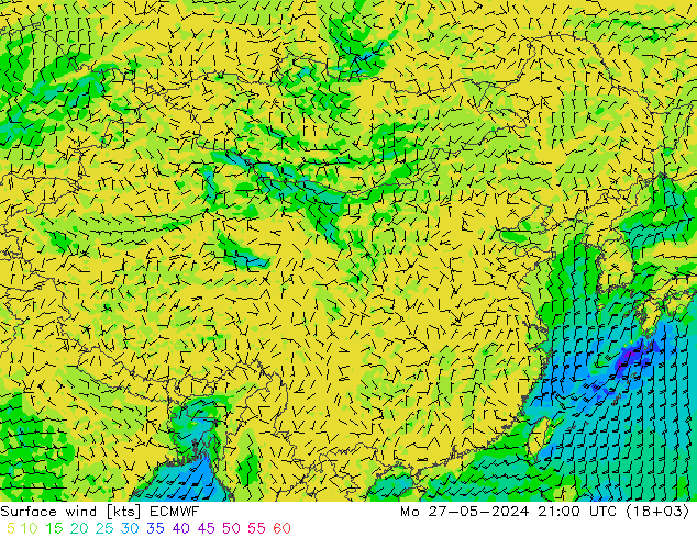 风 10 米 ECMWF 星期一 27.05.2024 21 UTC