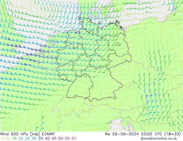 ветер 950 гПа ECMWF ср 29.05.2024 03 UTC