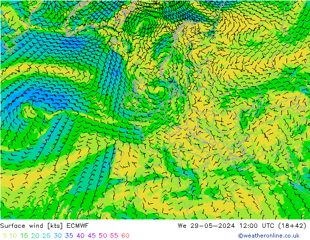 Surface wind ECMWF We 29.05.2024 12 UTC