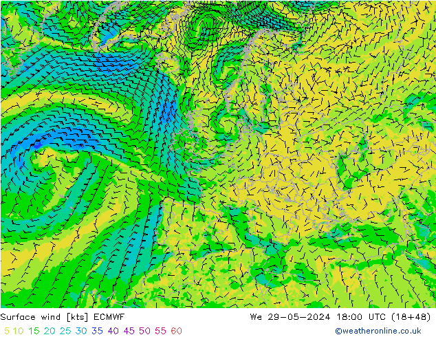 Bodenwind ECMWF Mi 29.05.2024 18 UTC