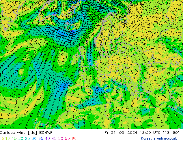 Bodenwind ECMWF Fr 31.05.2024 12 UTC