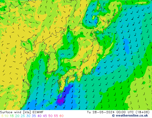 Neerslag 6h/Wind 10m/950 ECMWF di 28.05.2024 00 UTC