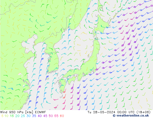 Neerslag 6h/Wind 10m/950 ECMWF di 28.05.2024 00 UTC