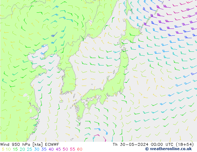 Neerslag 6h/Wind 10m/950 ECMWF do 30.05.2024 00 UTC