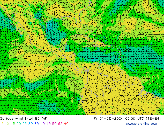 Vento 10 m ECMWF Sex 31.05.2024 06 UTC