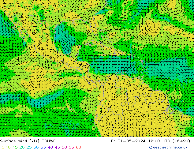 Bodenwind ECMWF Fr 31.05.2024 12 UTC