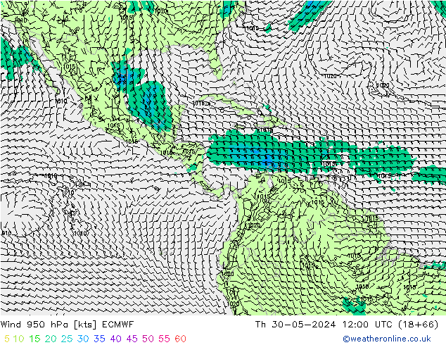 Wind 950 hPa ECMWF do 30.05.2024 12 UTC