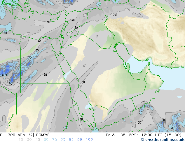 RH 300 hPa ECMWF pt. 31.05.2024 12 UTC