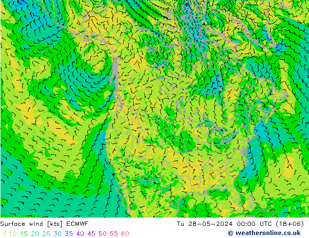 Surface wind ECMWF Tu 28.05.2024 00 UTC