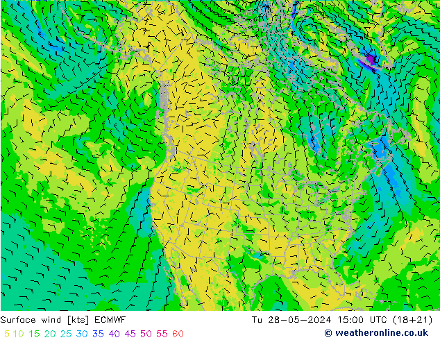 Surface wind ECMWF Tu 28.05.2024 15 UTC