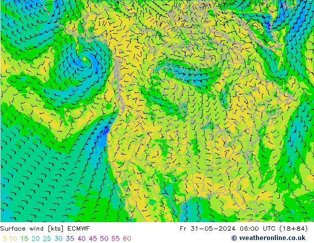 Surface wind ECMWF Pá 31.05.2024 06 UTC