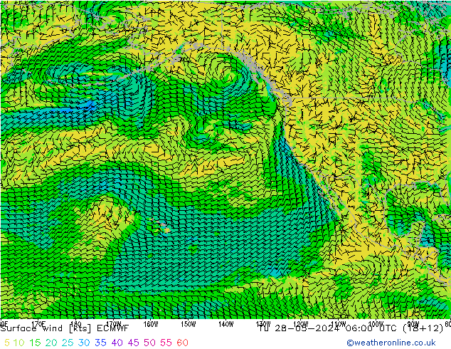 Surface wind ECMWF Tu 28.05.2024 06 UTC