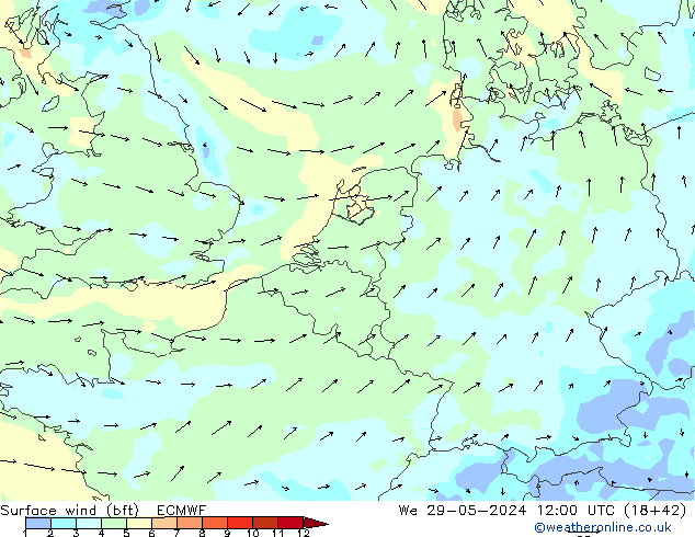 Surface wind (bft) ECMWF We 29.05.2024 12 UTC