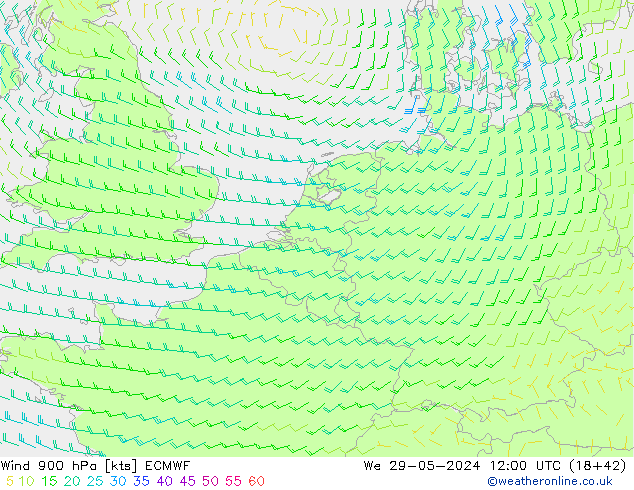 Wind 900 hPa ECMWF St 29.05.2024 12 UTC