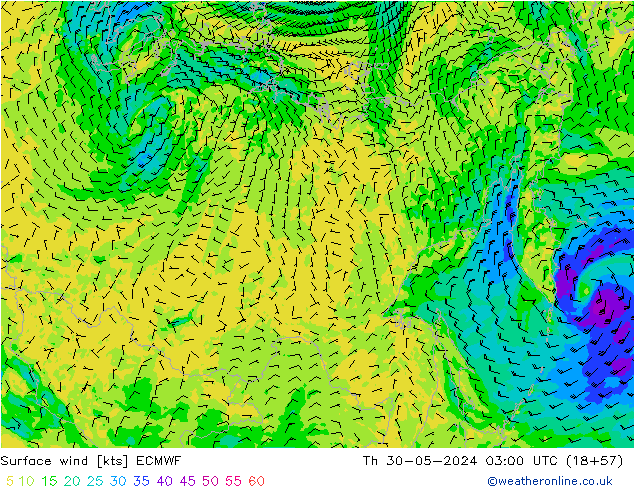  10 m ECMWF  30.05.2024 03 UTC