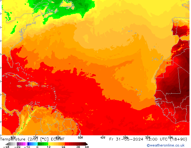 карта температуры ECMWF пт 31.05.2024 12 UTC