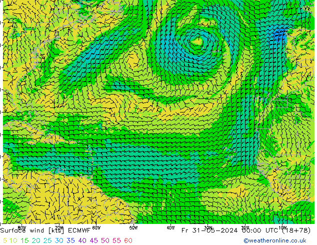 Surface wind ECMWF Fr 31.05.2024 00 UTC