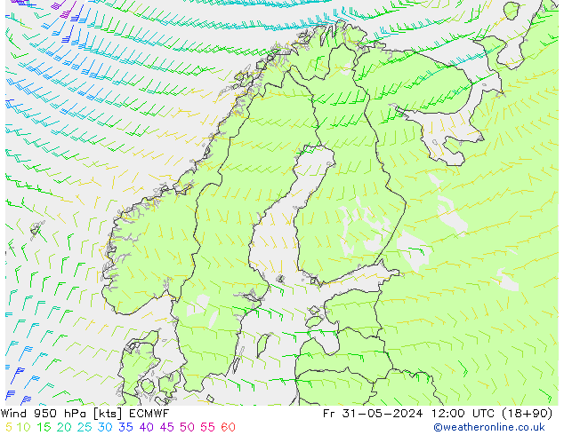 Vent 950 hPa ECMWF ven 31.05.2024 12 UTC