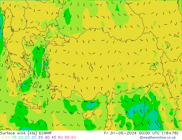 Surface wind ECMWF Pá 31.05.2024 00 UTC