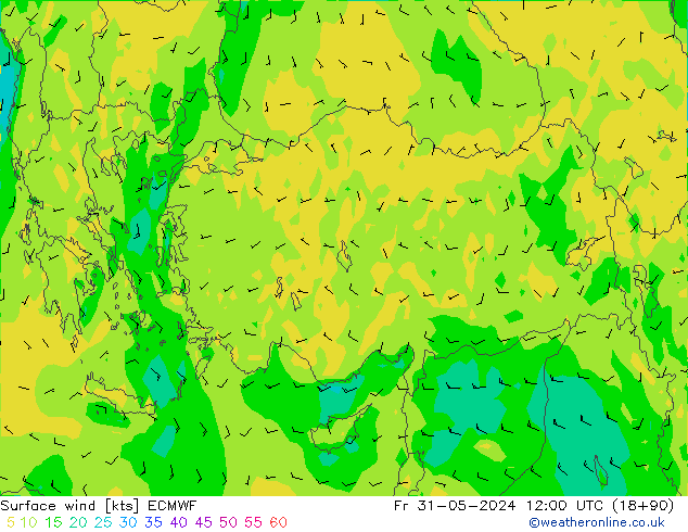 Vento 10 m ECMWF ven 31.05.2024 12 UTC