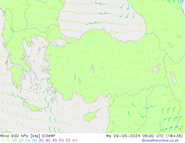  900 hPa ECMWF  29.05.2024 06 UTC