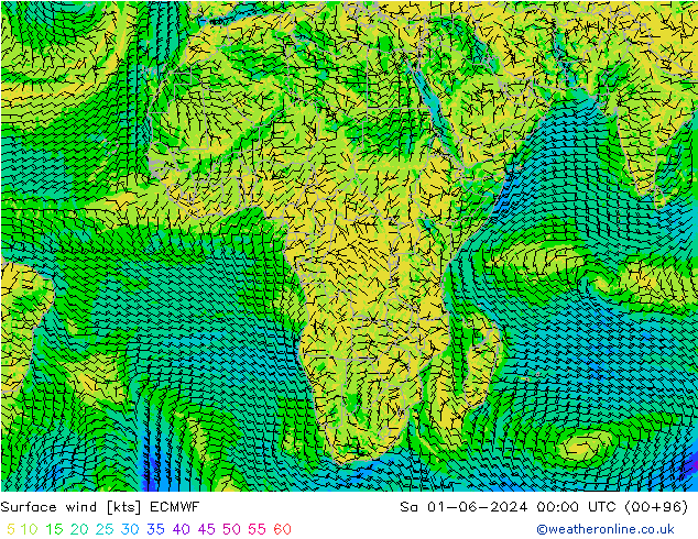 Vent 10 m ECMWF sam 01.06.2024 00 UTC