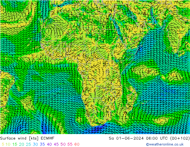 Surface wind ECMWF Sa 01.06.2024 06 UTC