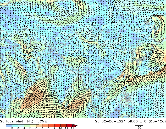 Surface wind (bft) ECMWF Su 02.06.2024 06 UTC