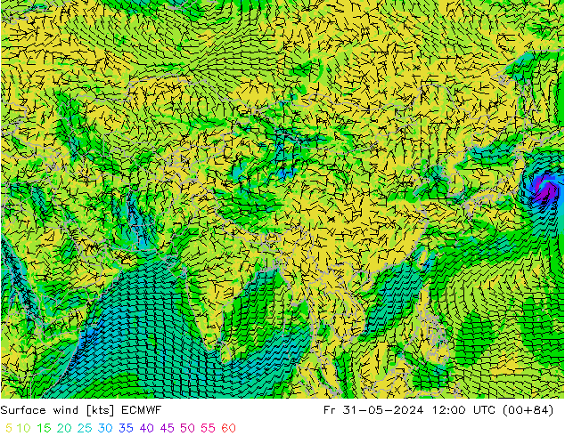 Surface wind ECMWF Fr 31.05.2024 12 UTC