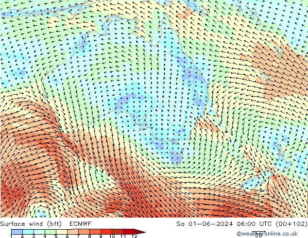 Vento 10 m (bft) ECMWF sab 01.06.2024 06 UTC