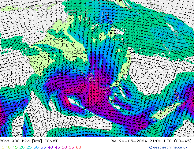 Wind 900 hPa ECMWF wo 29.05.2024 21 UTC