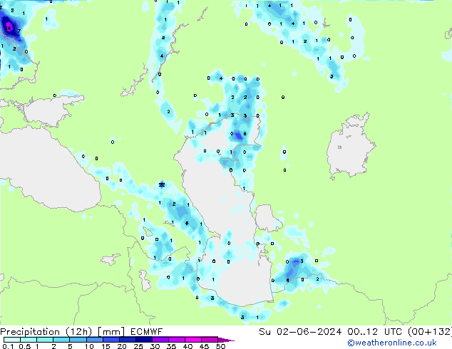 Precipitation (12h) ECMWF Ne 02.06.2024 12 UTC