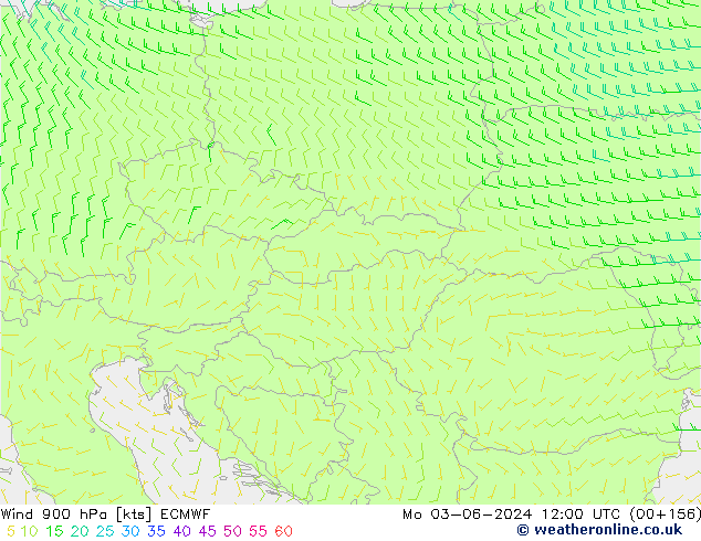 Rüzgar 900 hPa ECMWF Pzt 03.06.2024 12 UTC