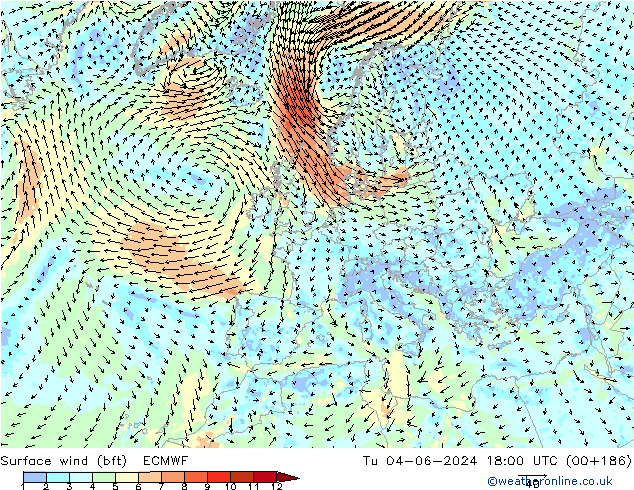 Wind 10 m (bft) ECMWF di 04.06.2024 18 UTC