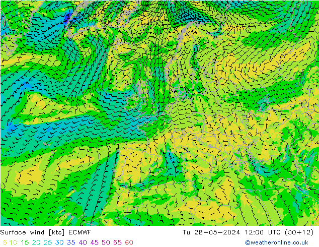 Bodenwind ECMWF Di 28.05.2024 12 UTC