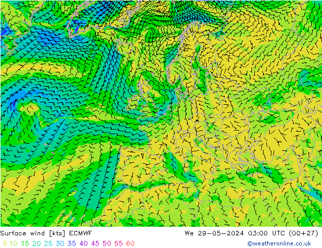 ветер 10 m ECMWF ср 29.05.2024 03 UTC