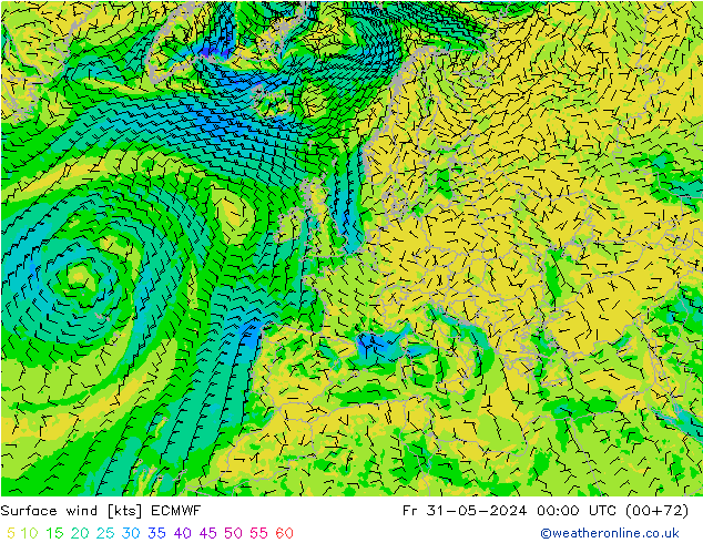 Vento 10 m ECMWF ven 31.05.2024 00 UTC