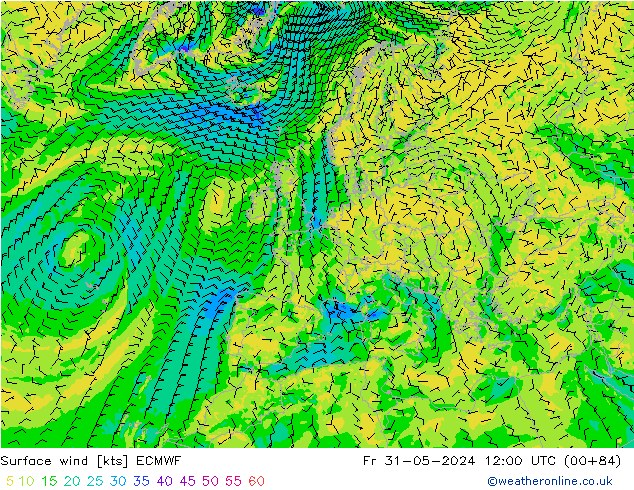  10 m ECMWF  31.05.2024 12 UTC