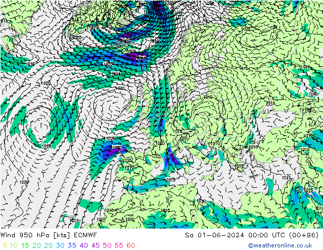 Wind 950 hPa ECMWF Sa 01.06.2024 00 UTC