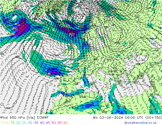 Rüzgar 950 hPa ECMWF Pzt 03.06.2024 06 UTC